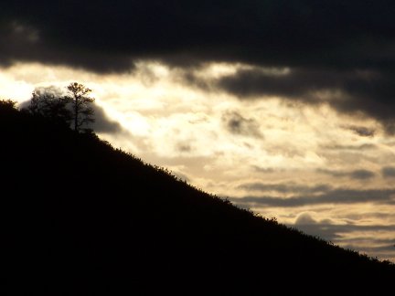 Early Morning