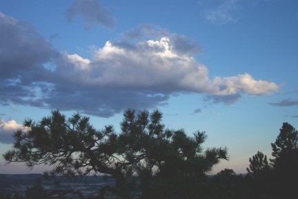 Evening view