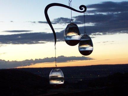 Dawn feeders