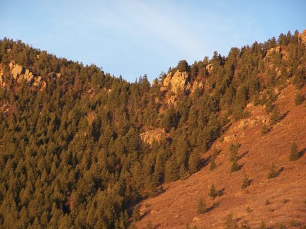 Sunlit Hills