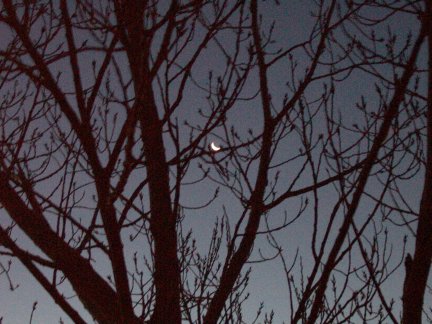 Crescent Moon