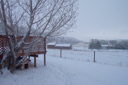 Fresh Snow