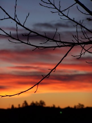 Sunrise