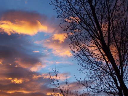 Sunrise skies