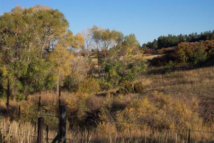 autumncolors.jpg