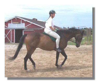 bareback.jpg