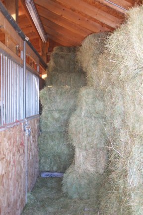 hay in barn