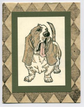 bassetthound.jpg