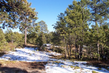 Black Forest Regional Park