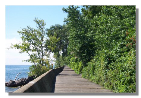 boardwalk.jpg