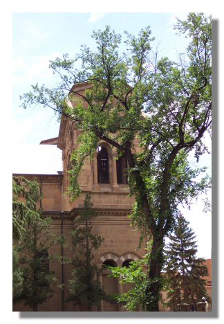 cathedral.jpg