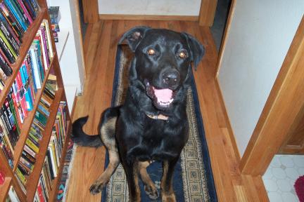 dudley20031021.jpg