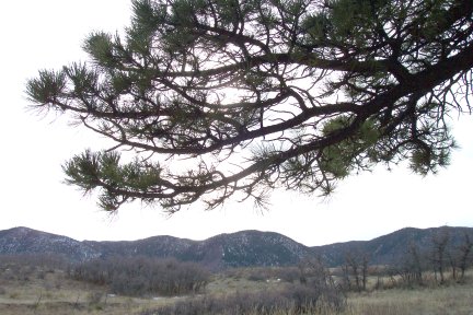 Front Range