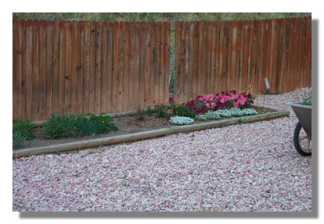 garden.jpg