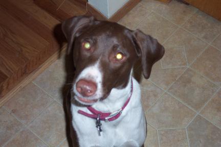 gracie.jpg