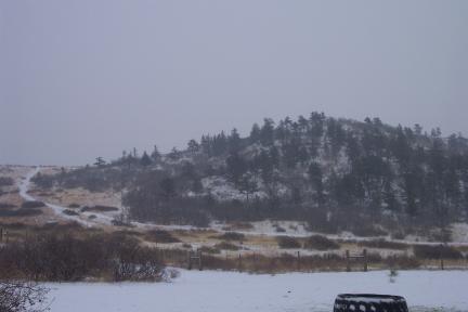 grayday20040204.jpg