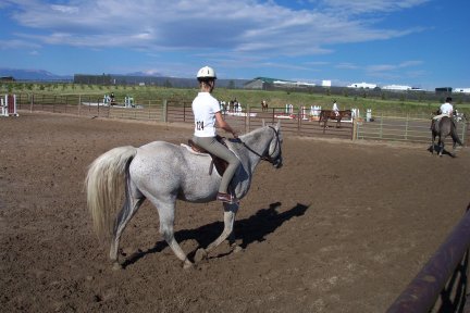 Horse show
