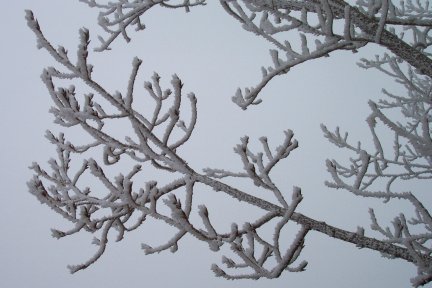 Ice Fog