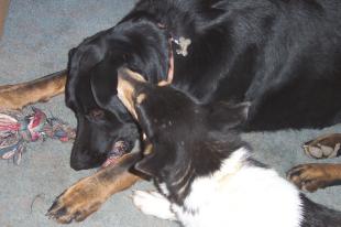 lodydudley20040114.jpg