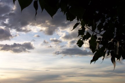 Morning skies