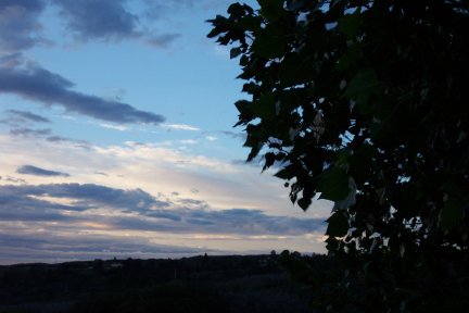 Morning skies