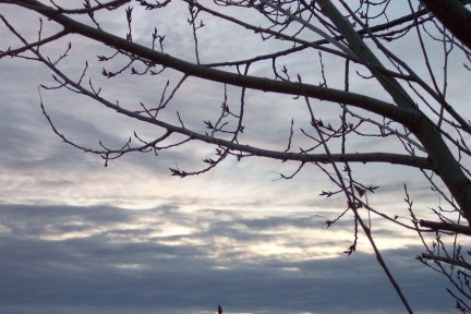 Quiet Sunrise
