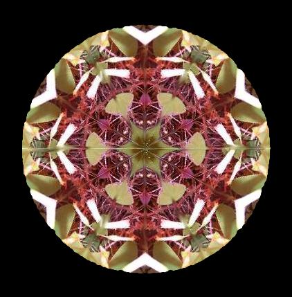 shamrockmandala.jpg