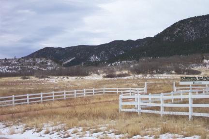 snow20031220.jpg