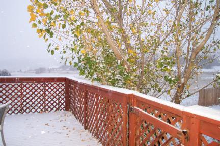 snow20031525.jpg