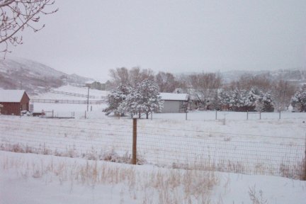 Snow