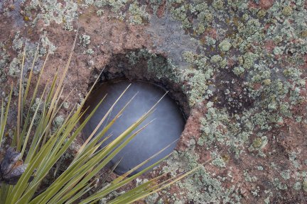 Stone Bowl