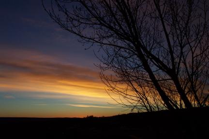 sunrise20031128.jpg