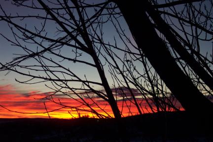 sunrise20040106.jpg