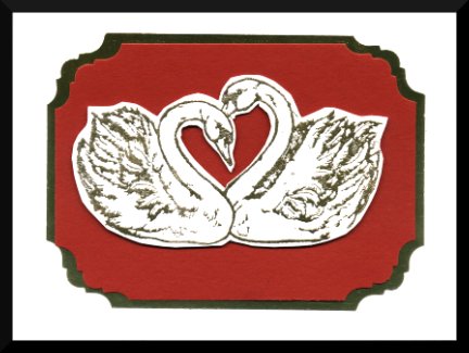 Swans