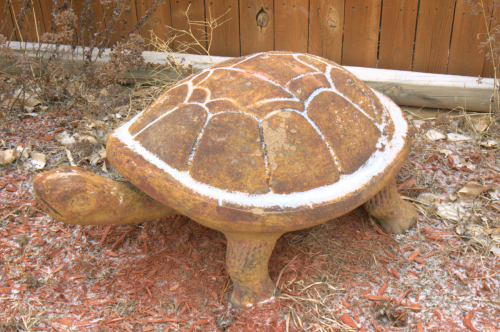 Turtle