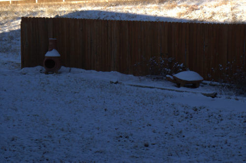 20110329winterslastgasp