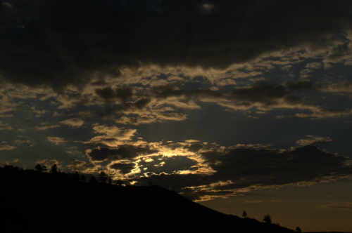 Early Morning