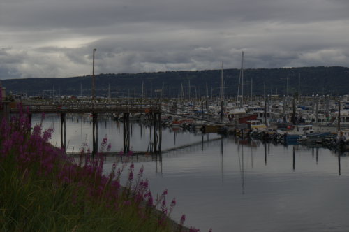 20110803homermarina