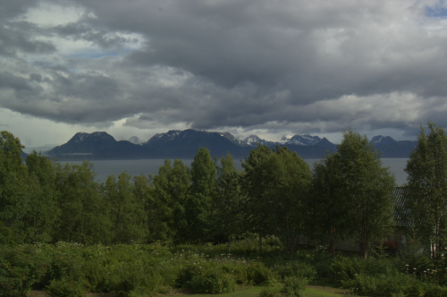 View From Maggie's Place