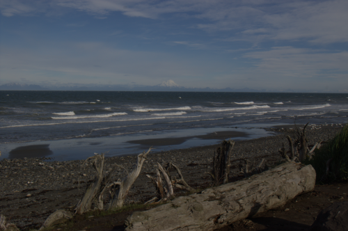 Anchor Point Beach
