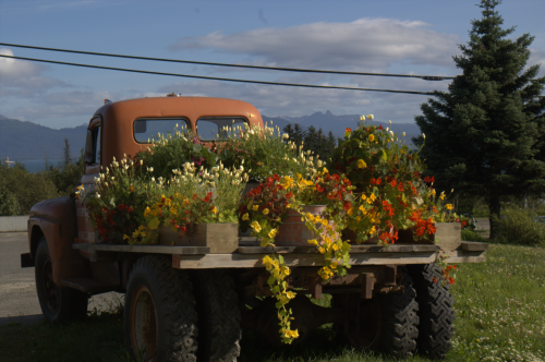Truck Planter