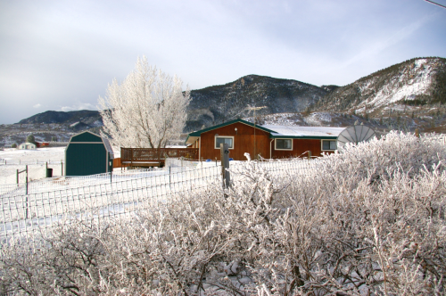 20120212hoarfrost