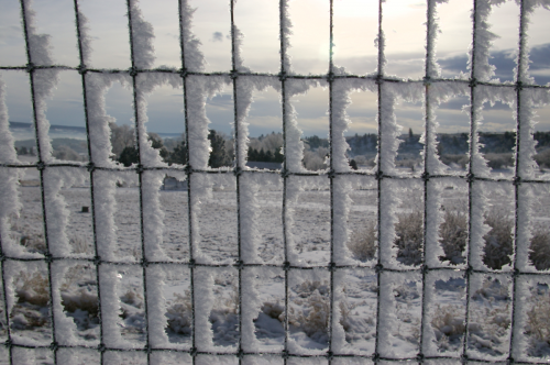 Icy Mesh