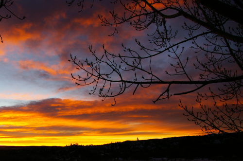 Sunrise Calm