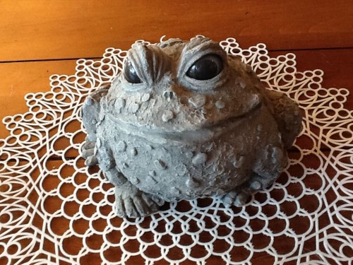Toad