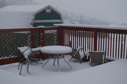 Snowy Day