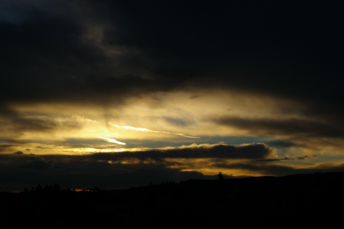 Early Morning