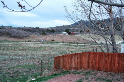 20130514elk