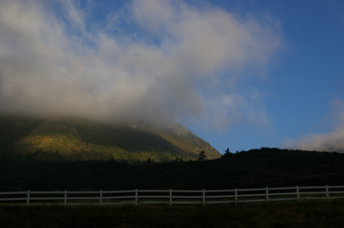 Misty Morning