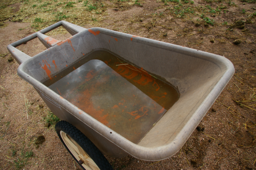 Rain Gauge